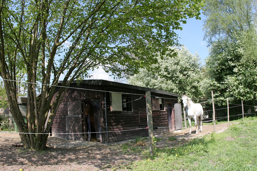 Schliessen von IMG_8065.JPG
