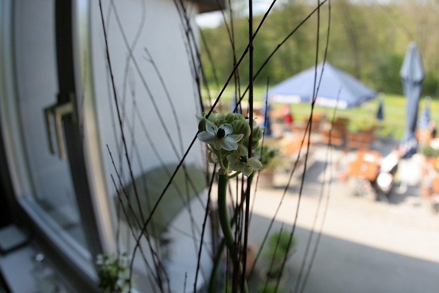 Schliessen von IMG_8139.JPG